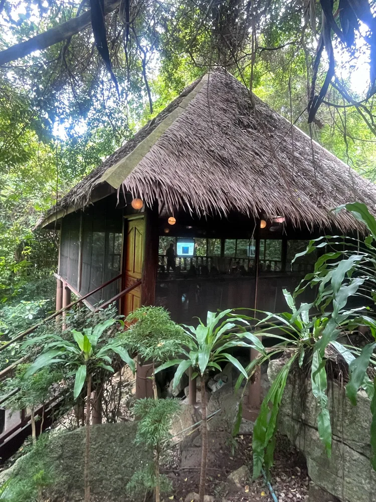 The shala in the jungle
